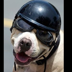 Meet your Posher, Mark